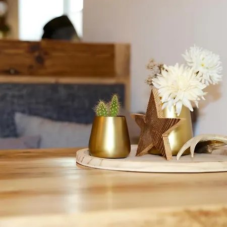 Alpine Goldquell - Infrarot Kabine, National Park Sommerkarte Und Bergblick * Rauris