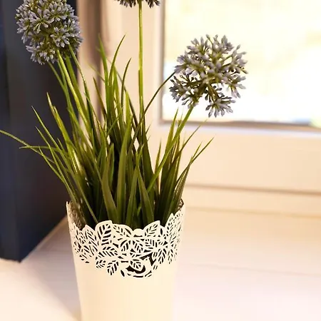 Alpine Goldquell - Infrarot Kabine, National Park Sommerkarte Und Bergblick