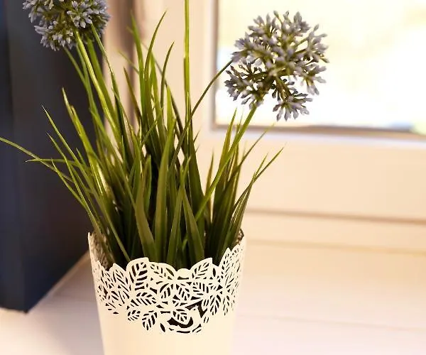 Alpine Goldquell - Infrarot Kabine, National Park Sommerkarte Und Bergblick